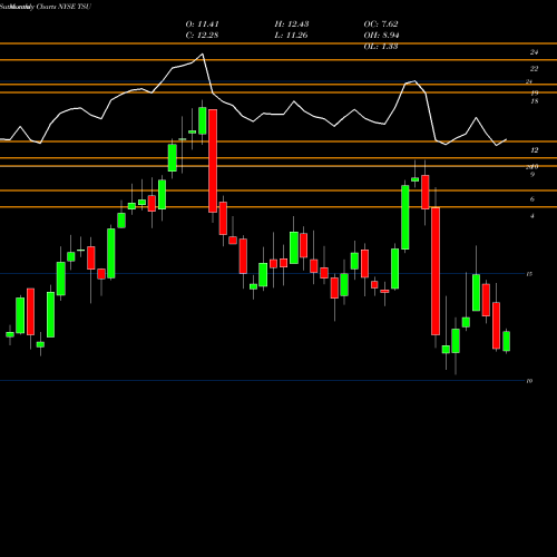 Monthly charts share TSU TIM Participacoes S.A. NYSE Stock exchange 