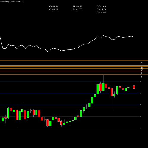 Monthly charts share TYG Tortoise Energy Infrastructure Corporation NYSE Stock exchange 