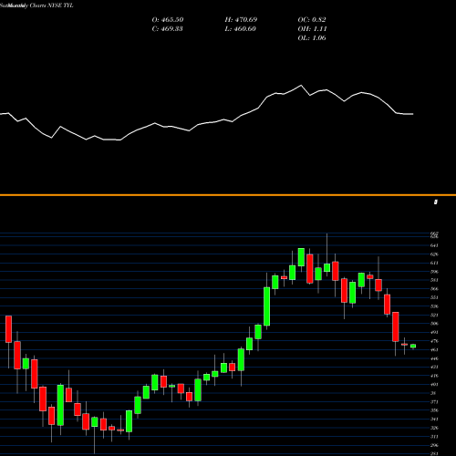 Monthly charts share TYL Tyler Technologies, Inc. NYSE Stock exchange 