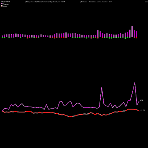 PVM Price Volume Measure charts Tortoise Essential Assets Income Term Fund TEAF share NYSE Stock Exchange 