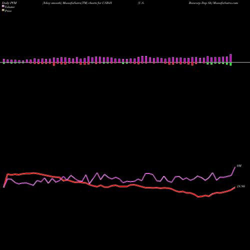 PVM Price Volume Measure charts U.S. Bancorp Dep Sh USB-H share NYSE Stock Exchange 