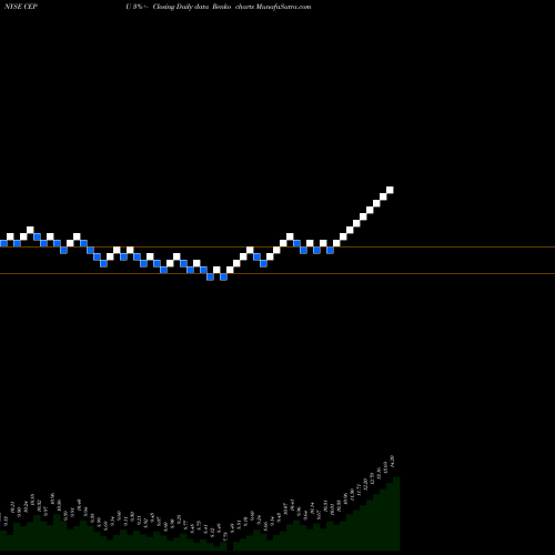 Free Renko charts Central Puerto S.A. CEPU share NYSE Stock Exchange 