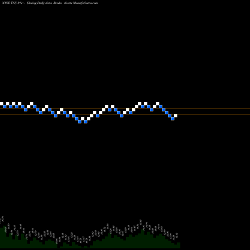 Free Renko charts TIM Participacoes S.A. TSU share NYSE Stock Exchange 