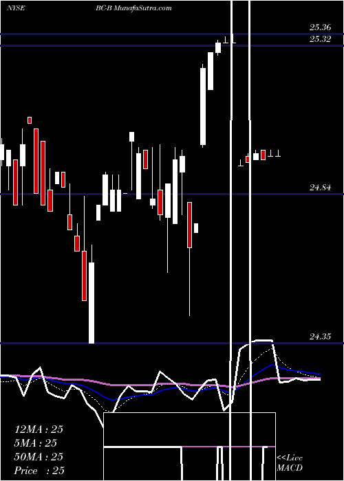  Daily chart BrunswickCorp