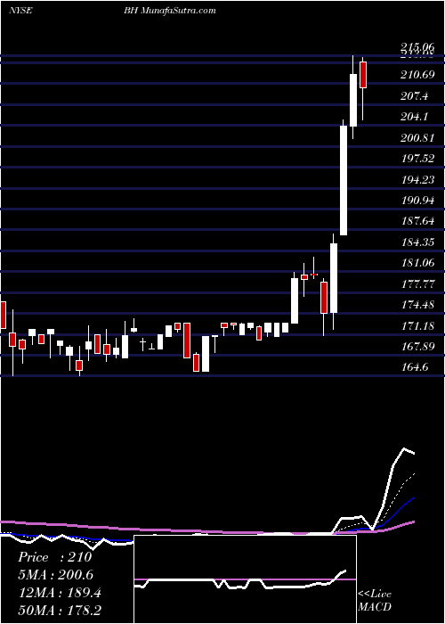  Daily chart BiglariHoldings