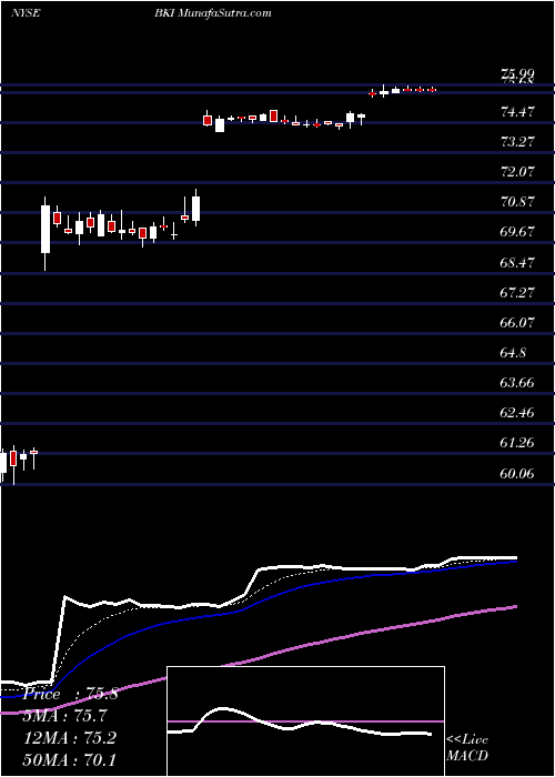  Daily chart BlackKnight