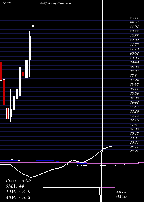  monthly chart BankunitedInc