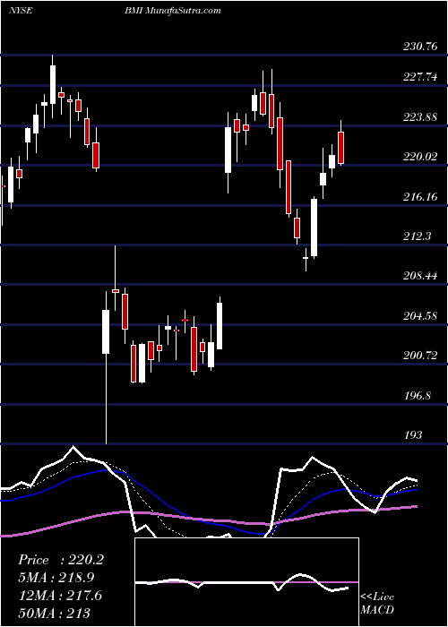  Daily chart BadgerMeter