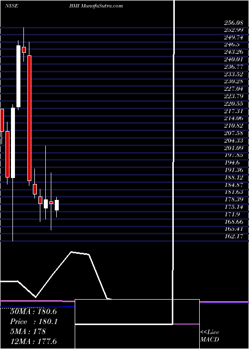  monthly chart BadgerMeter