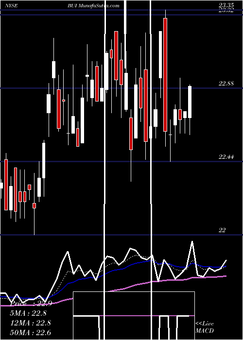  Daily chart BlackRock Utility, Infrastructure & Power Opportun