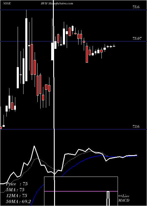  Daily chart BluegreenVacations