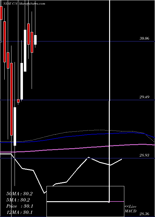  monthly chart CitigroupCapital