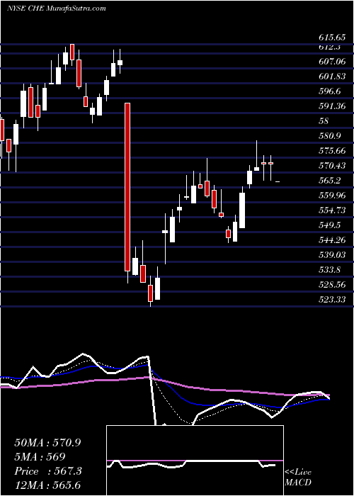  Daily chart ChemedCorp