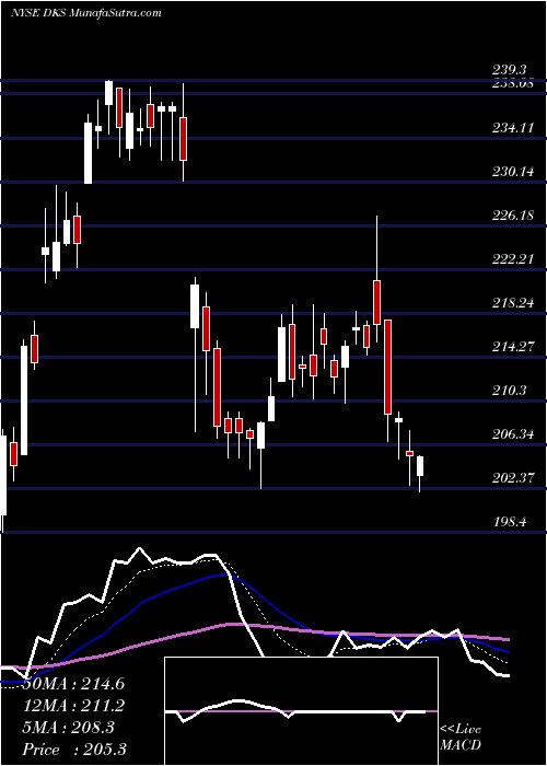  Daily chart Dick's Sporting Goods Inc