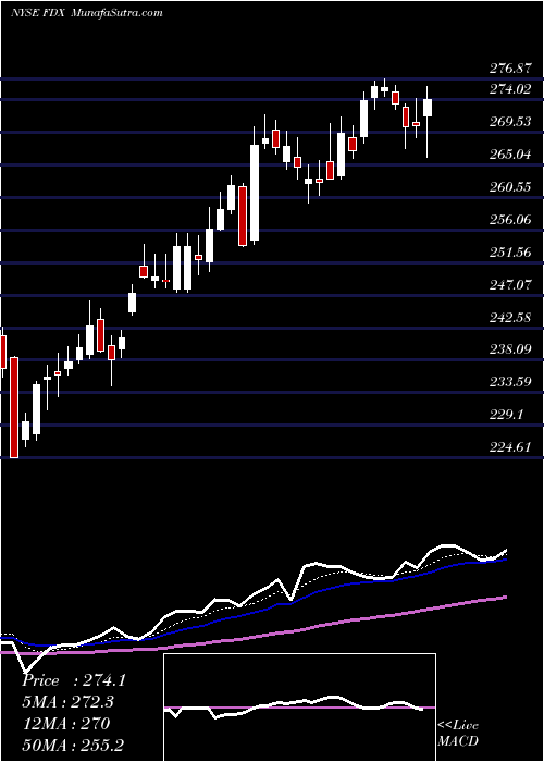  Daily chart FedexCorporation