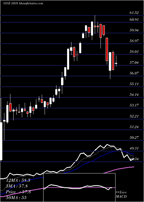  Daily chart HalyardHealth
