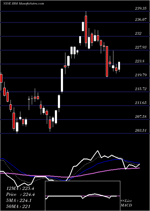  Daily chart International Business Machines Corporation