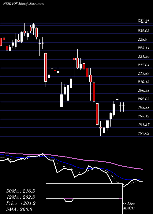  Daily chart IqviaHoldings