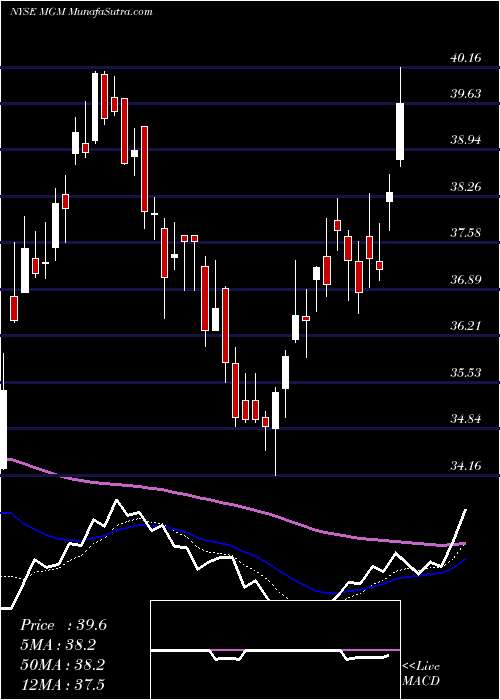  Daily chart MGM Resorts International