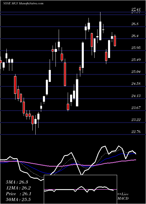  Daily chart MagnoliaOil