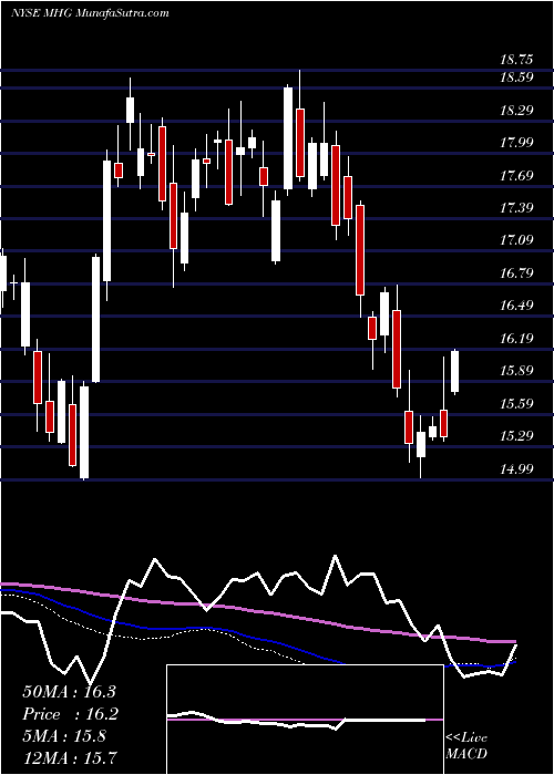  weekly chart MarineHarvest