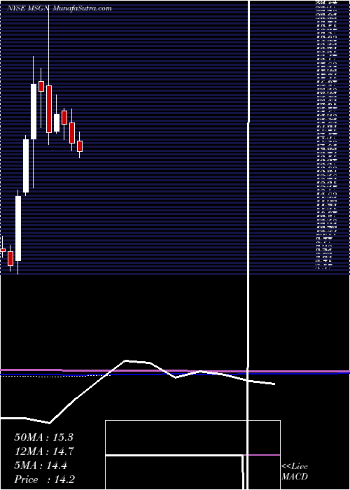  monthly chart MsgNetworks