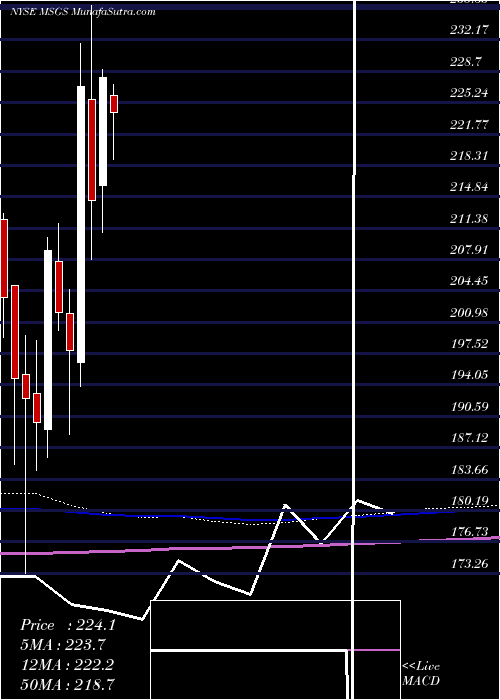  monthly chart MadisonSquare