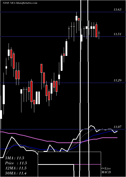  Daily chart NuveenAmt