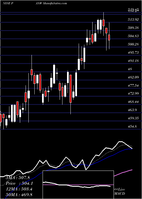  Daily chart PaloAlto