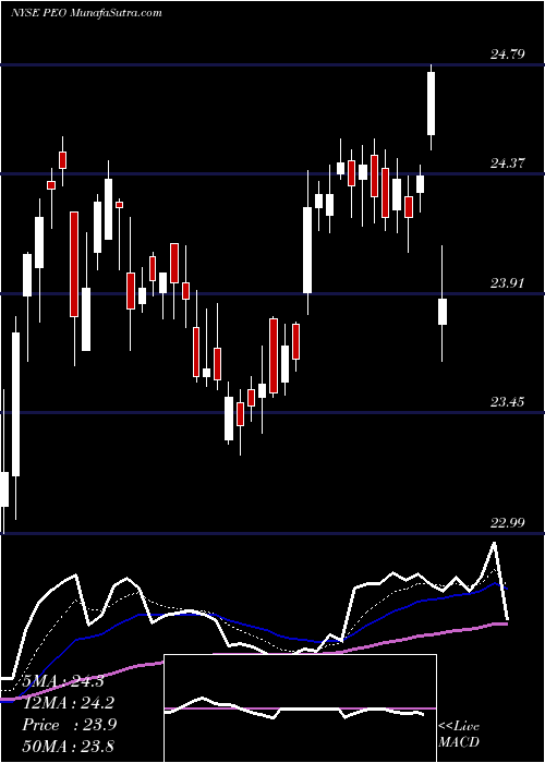  Daily chart AdamsNatural