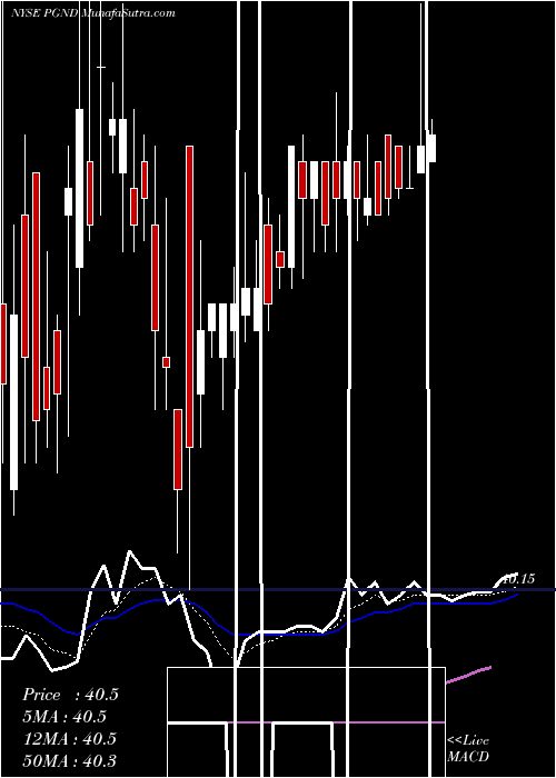  Daily chart Pga Holdings Inc