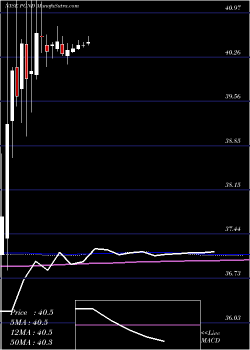  weekly chart PgaHoldings