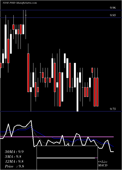  Daily chart PioneerFloating