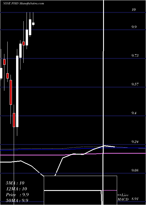  monthly chart PioneerFloating