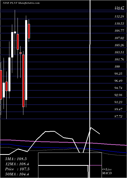  monthly chart PlanetFitness