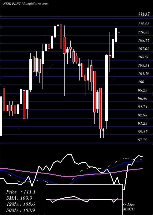  weekly chart PlanetFitness