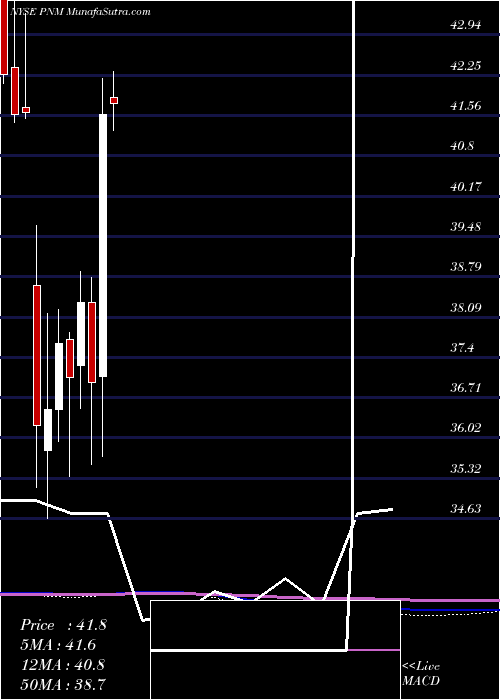  monthly chart PnmResources