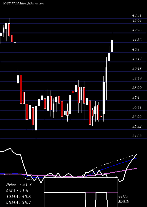  weekly chart PnmResources