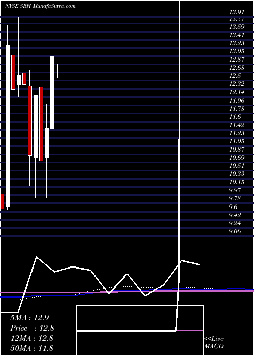  monthly chart SallyBeauty