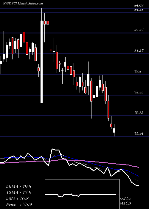  Daily chart ServiceCorporation
