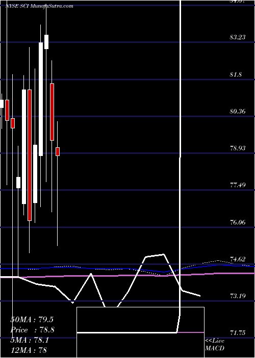  monthly chart ServiceCorporation