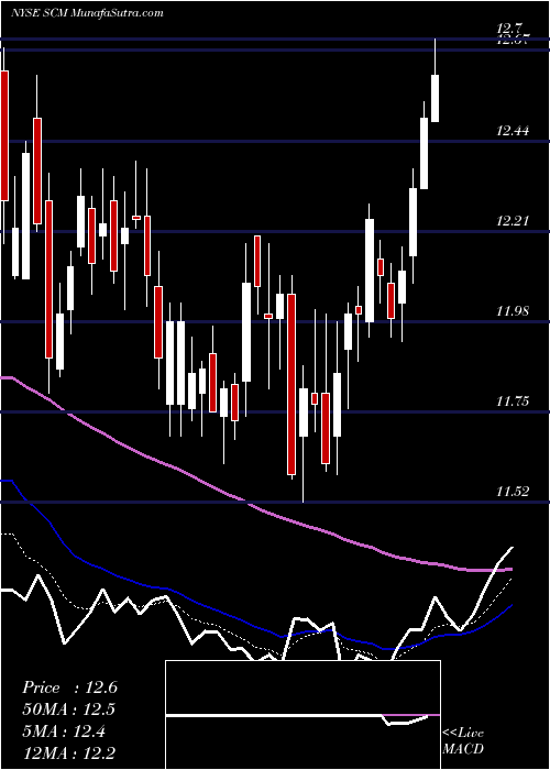  Daily chart Stellus Capital Investment Corporation