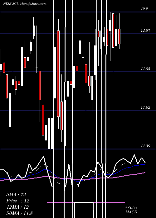  Daily chart StarGroup