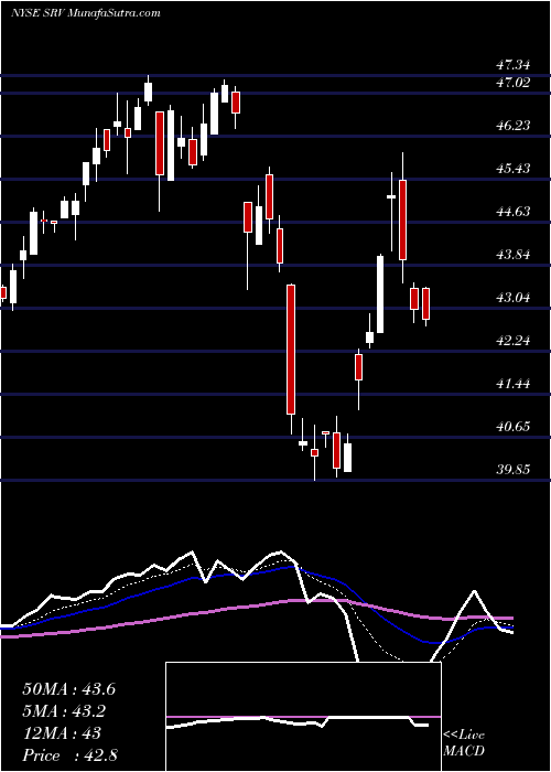  Daily chart CushingMlp
