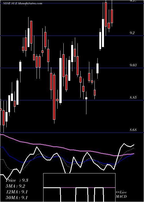  Daily chart SuzanoPapel