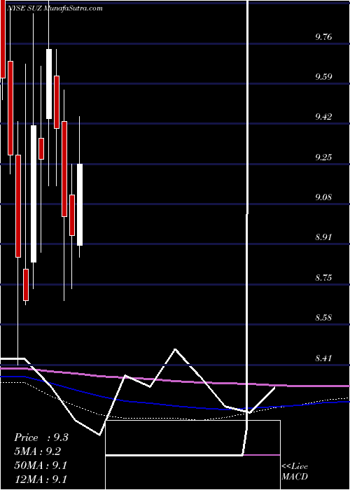  monthly chart SuzanoPapel