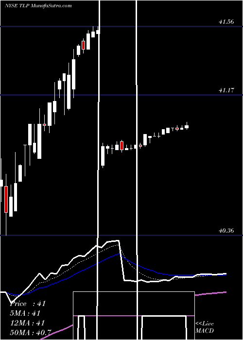  Daily chart Transmontaigne Partners