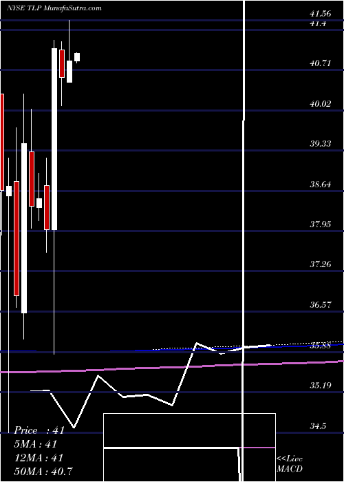  monthly chart TransmontaignePartners