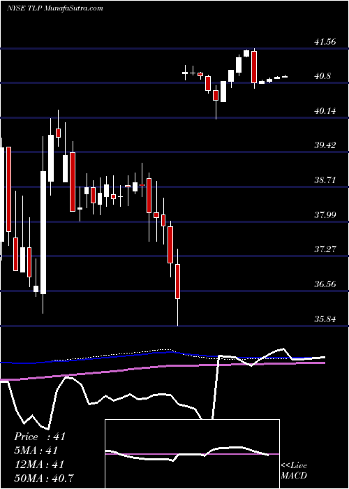  weekly chart TransmontaignePartners