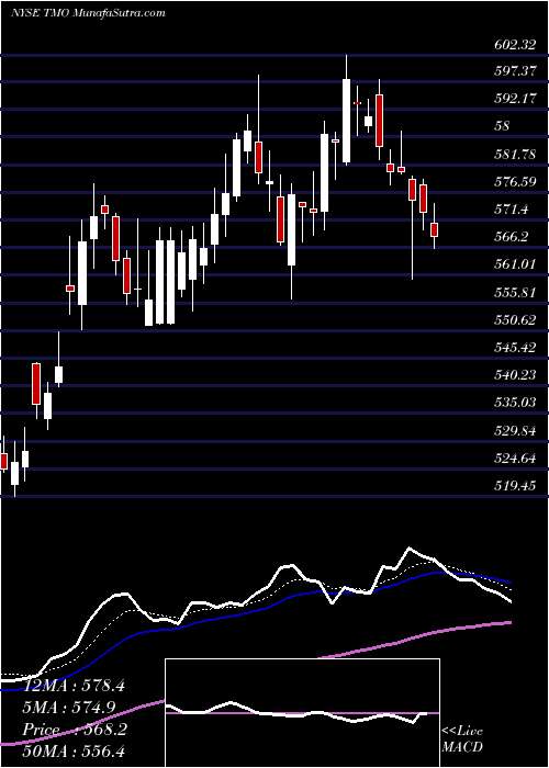  Daily chart ThermoFisher